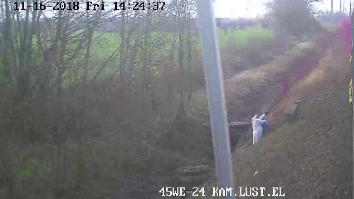 Wandal spryskał farbą rozpędzony pociąg. Jest nagroda za pomoc w złapaniu sprawcy!