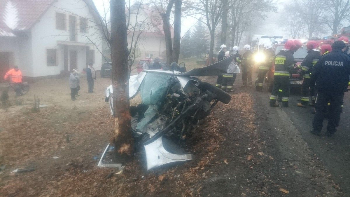 Wypadek w Ocicach. 19-letni kierowca citroena wjechał w drzewo