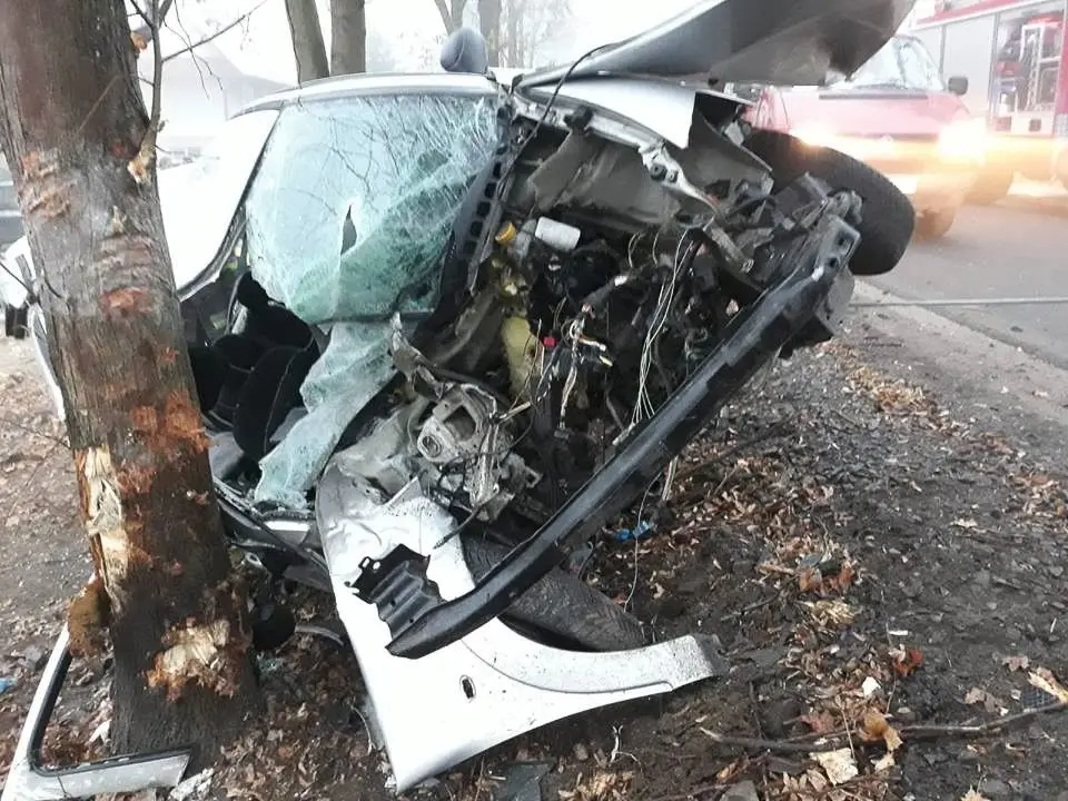 Wypadek w Ocicach. 19-letni kierowca citroena wjechał w drzewo