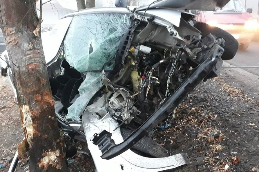 Wypadek w Ocicach. 19-letni kierowca citroena wjechał w drzewo