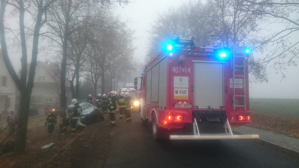 Wypadek w Ocicach. 19-letni kierowca citroena wjechał w drzewo