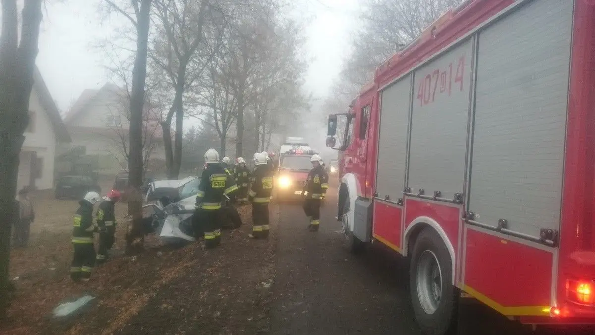 Wypadek w Ocicach. 19-letni kierowca citroena wjechał w drzewo