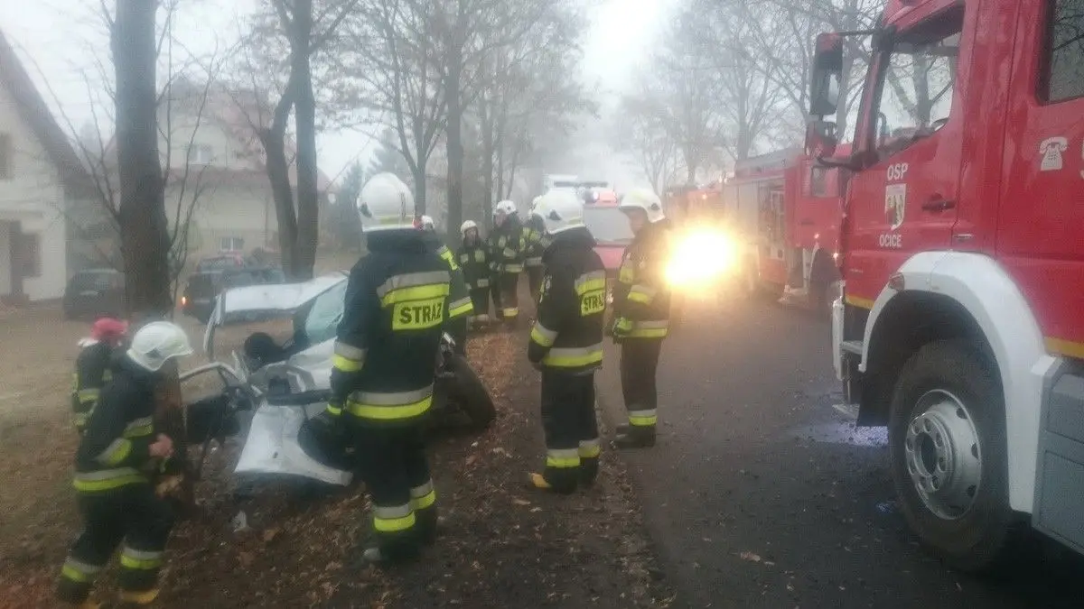 Wypadek w Ocicach. 19-letni kierowca citroena wjechał w drzewo