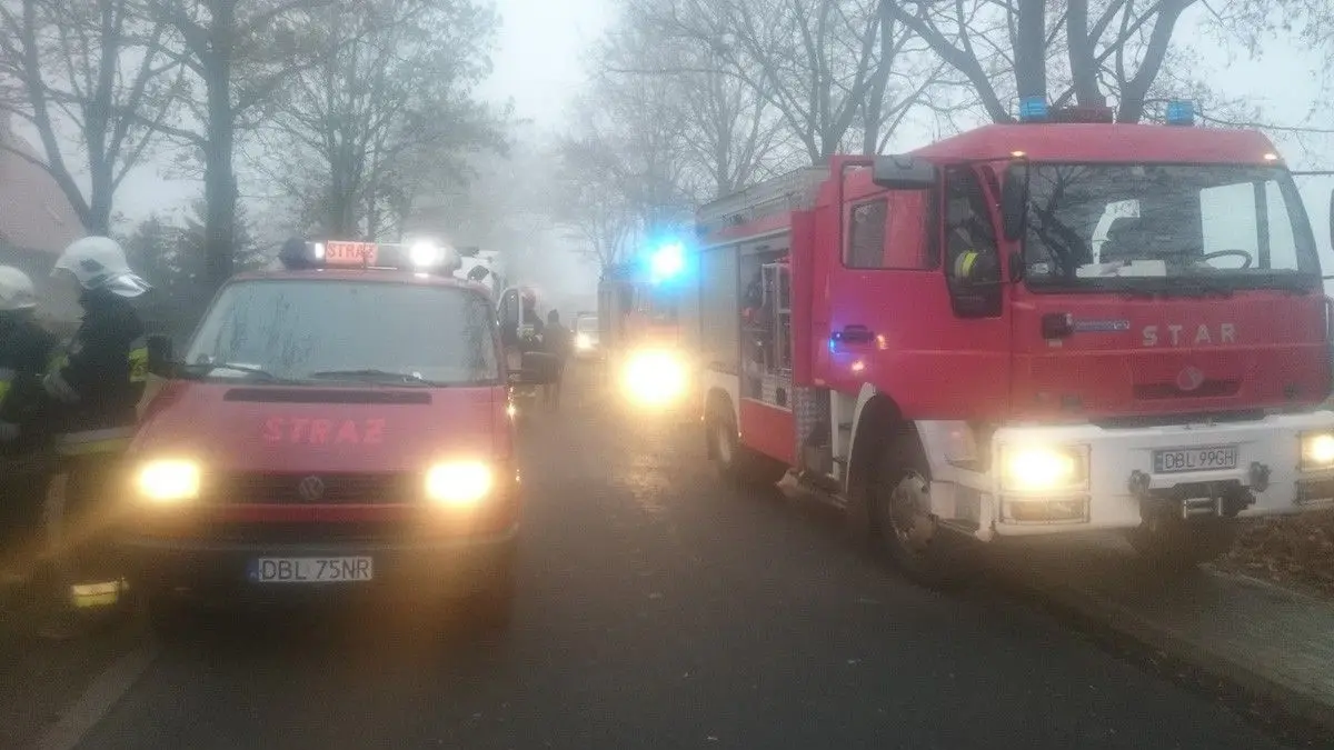 Wypadek w Ocicach. 19-letni kierowca citroena wjechał w drzewo