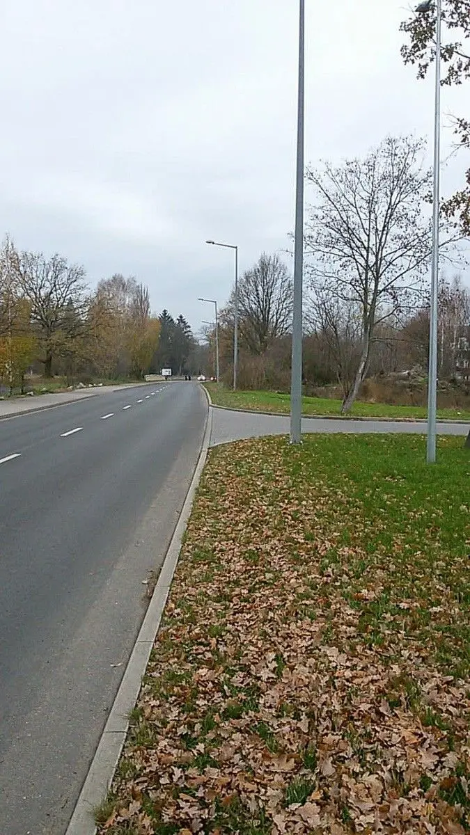 No Sidewalk or Pedestrian Crossing Near Carrefour on Śluzowa Street in Bolesławiec
