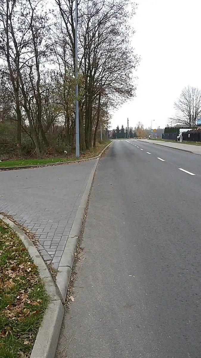 Brak chodnika i przejścia dla pieszych koło Carrefoura przy Śluzowej w Bolesławcu