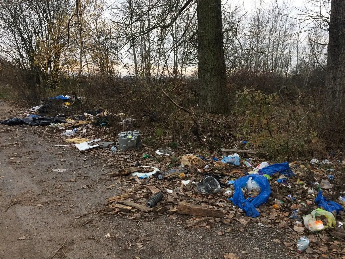 Uwaga! Będzie wielkie sprzątanie Kolonii Staszica
