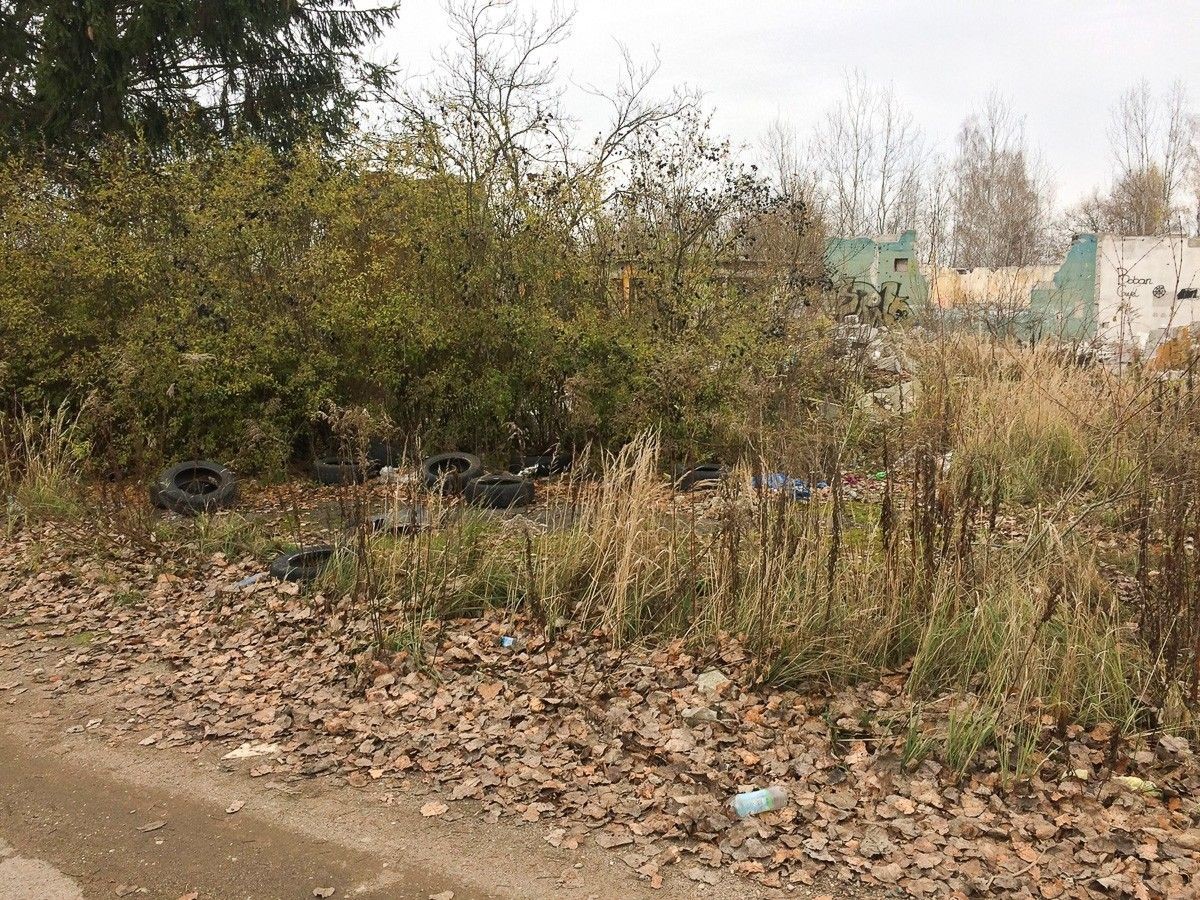 Uwaga! Będzie wielkie sprzątanie Kolonii Staszica