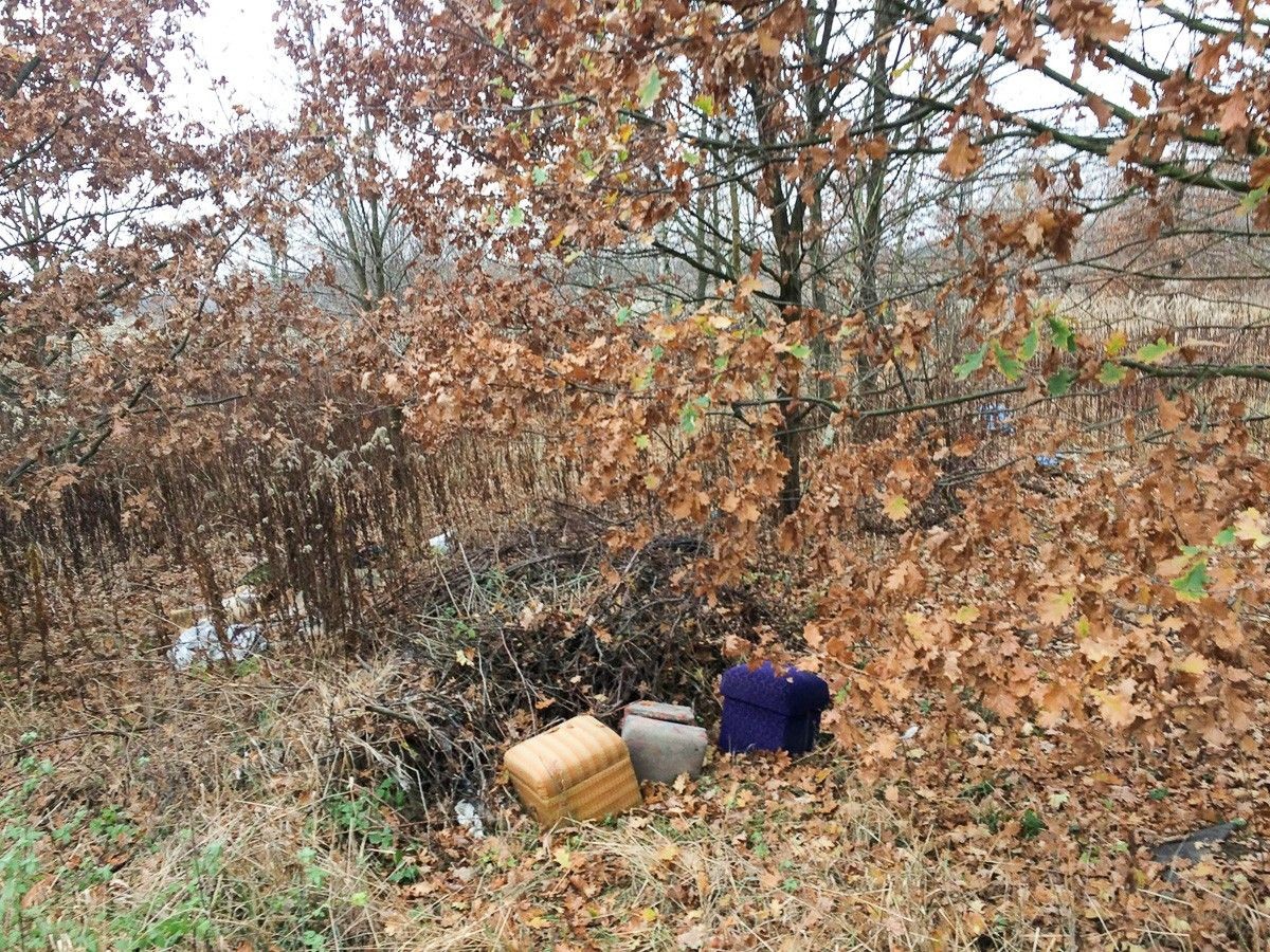 Uwaga! Będzie wielkie sprzątanie Kolonii Staszica