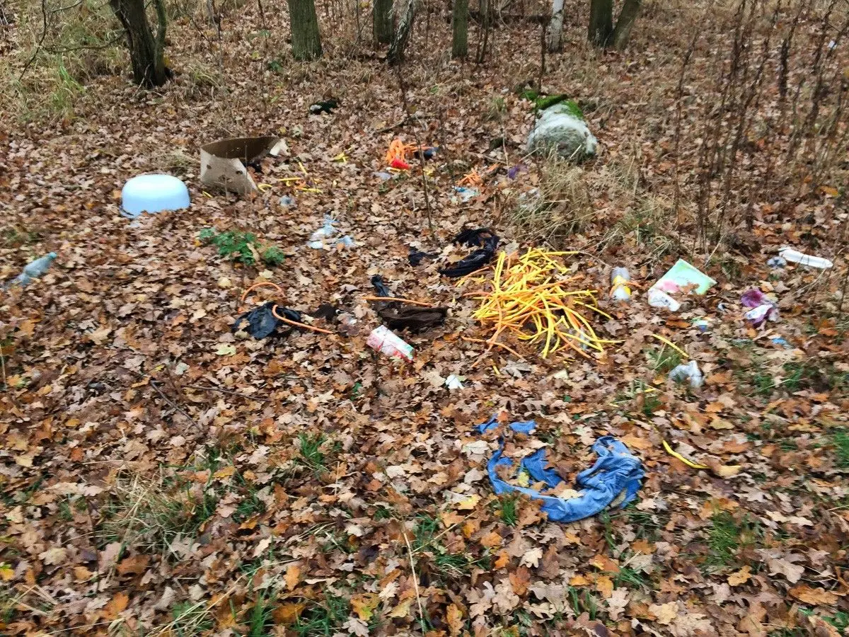 Uwaga! Będzie wielkie sprzątanie Kolonii Staszica