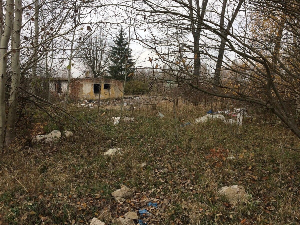 Uwaga! Będzie wielkie sprzątanie Kolonii Staszica