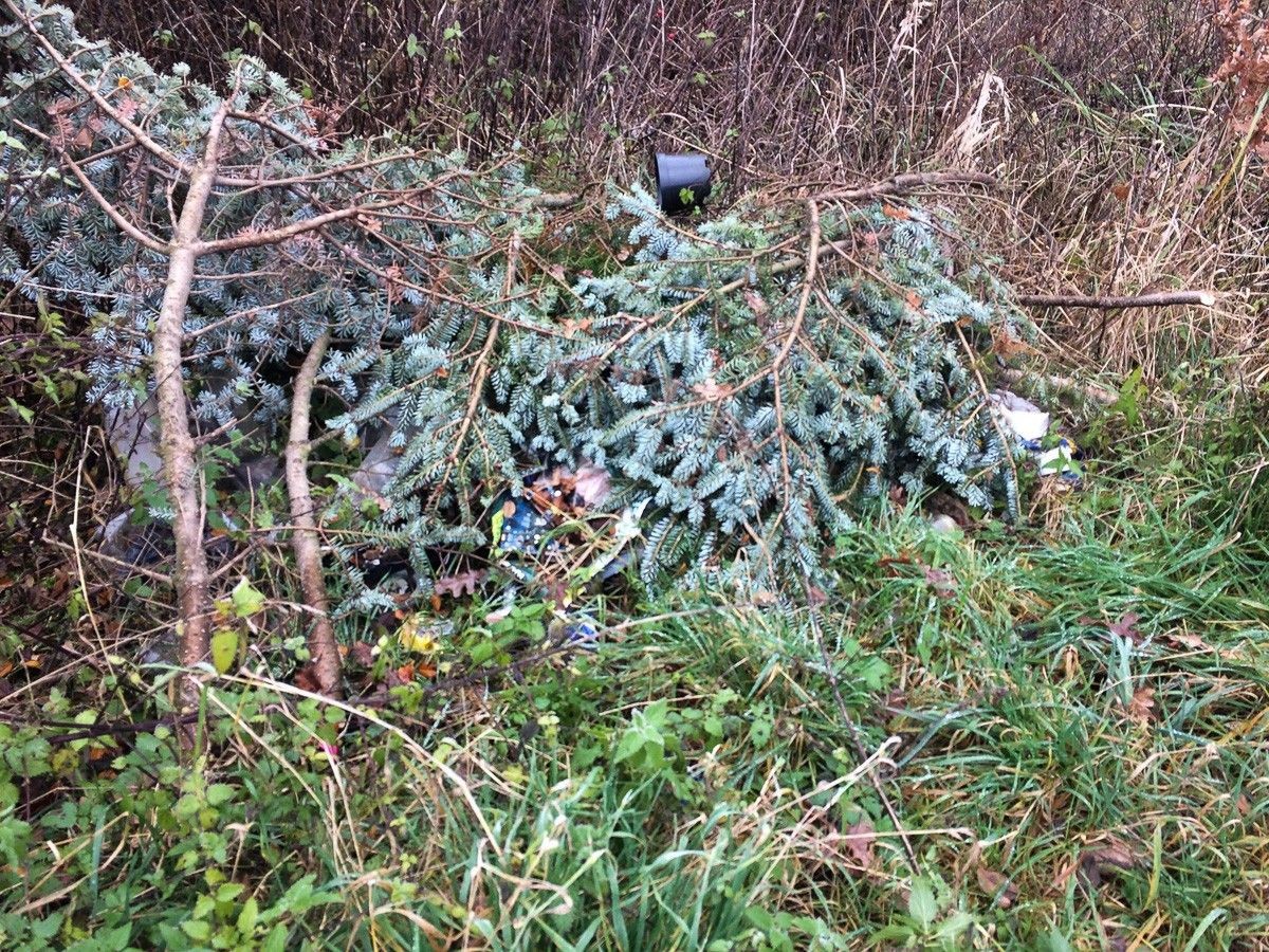 Uwaga! Będzie wielkie sprzątanie Kolonii Staszica