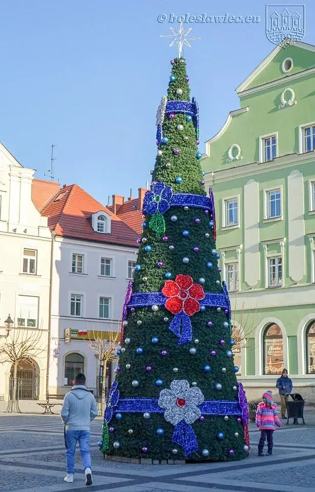 Choinka i filiżanka na bolesławieckim Rynku