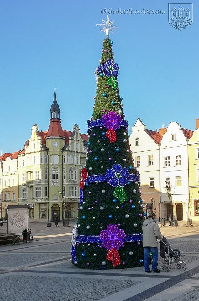 Choinka i filiżanka na bolesławieckim Rynku
