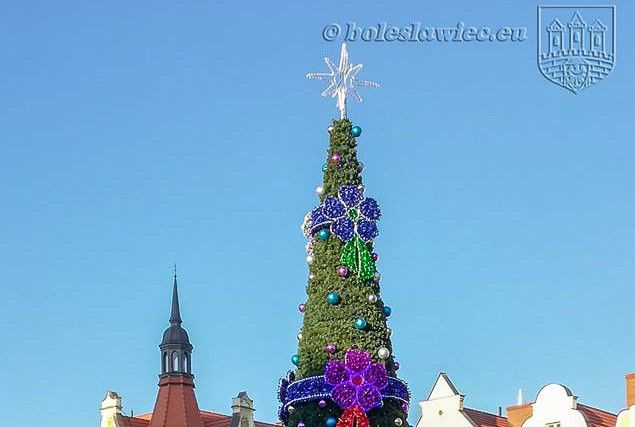 Choinka i filiżanka na bolesławieckim Rynku