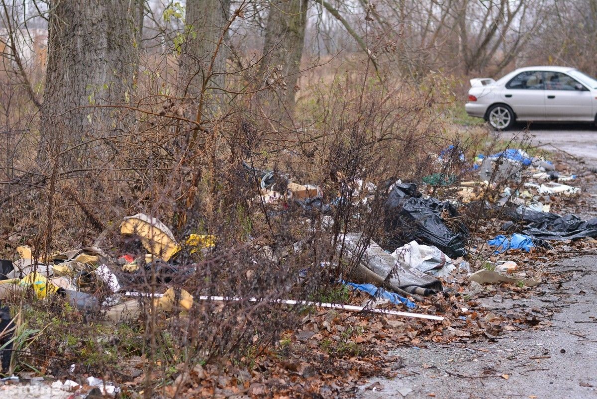 Trwa wielkie sprzątanie Kolonii Staszica