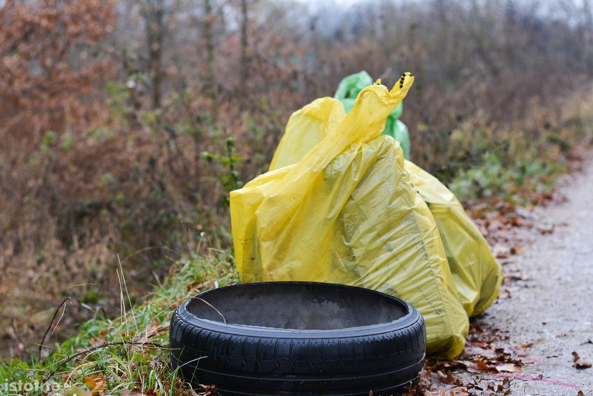 Trwa wielkie sprzątanie Kolonii Staszica