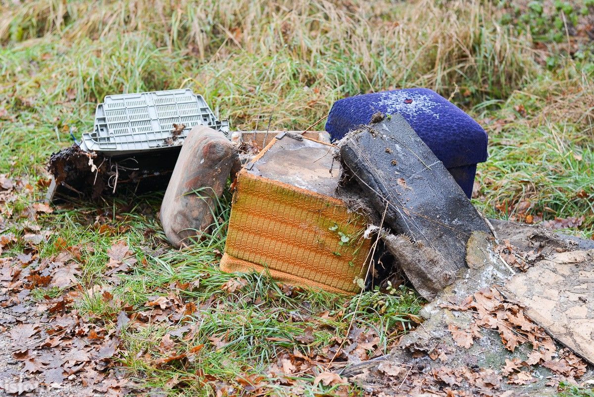 Trwa wielkie sprzątanie Kolonii Staszica