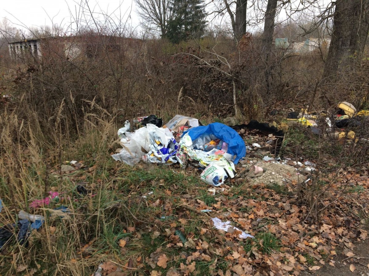 Wielkie sprzątanie Kolonii Staszica