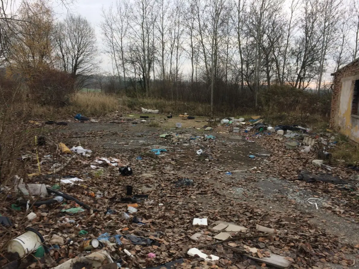 Wielkie sprzątanie Kolonii Staszica