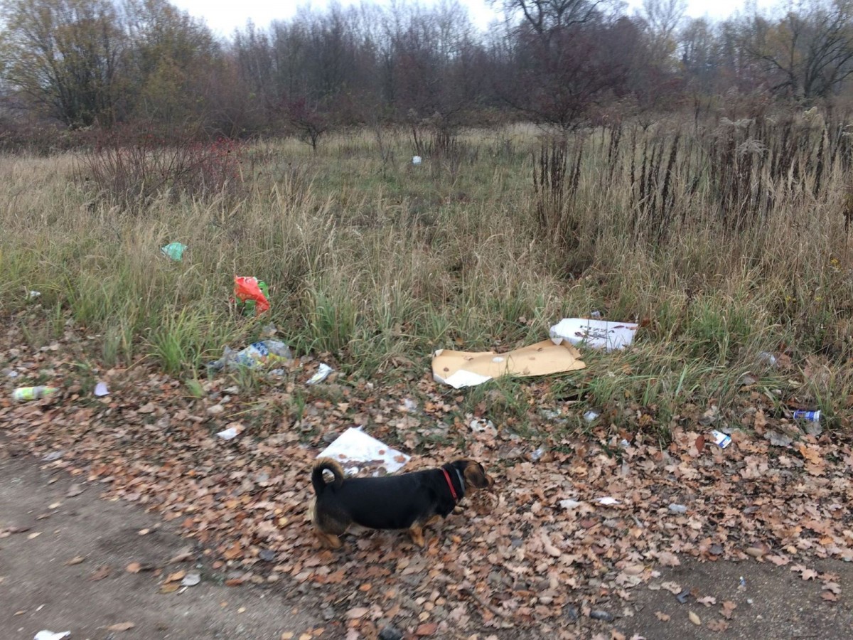 Wielkie sprzątanie Kolonii Staszica