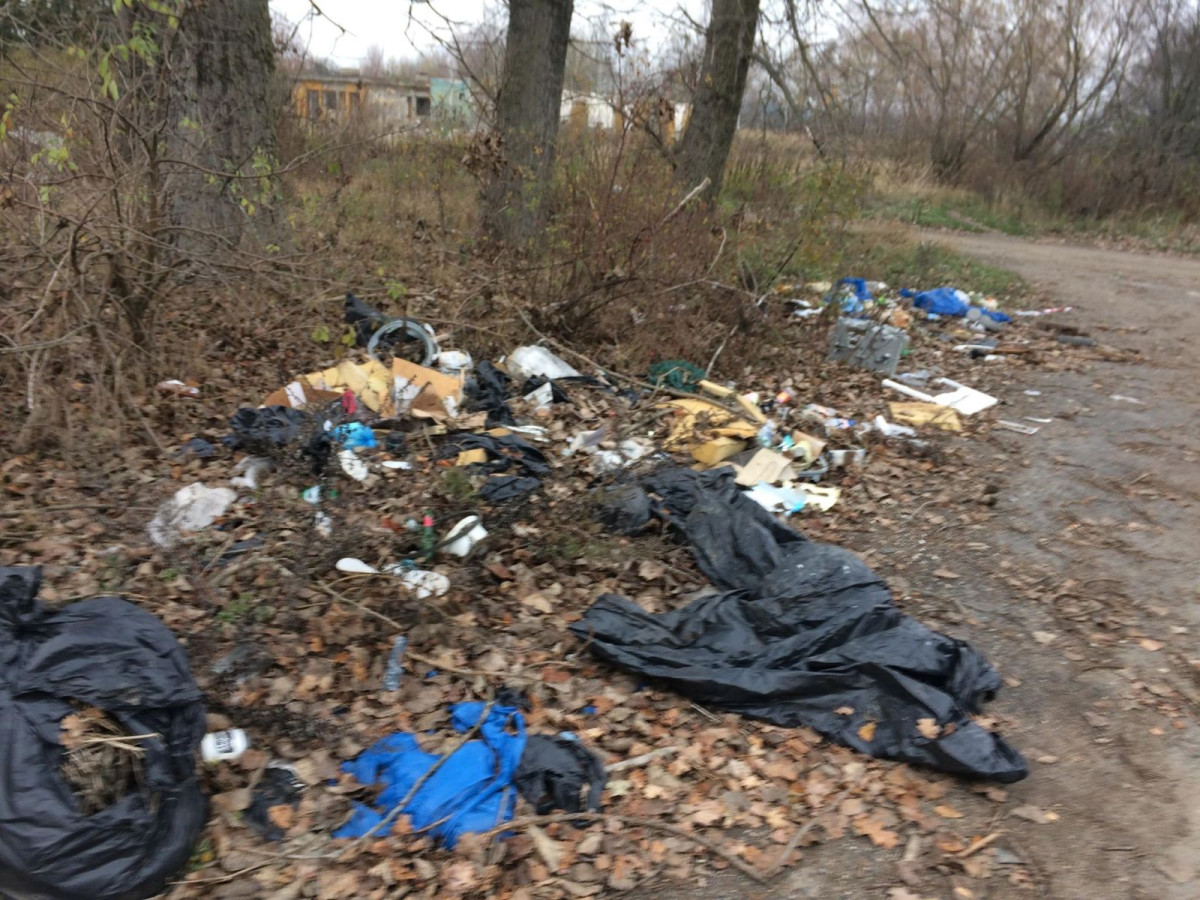 Wielkie sprzątanie Kolonii Staszica