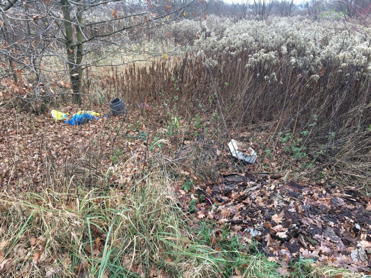 Wielkie sprzątanie Kolonii Staszica