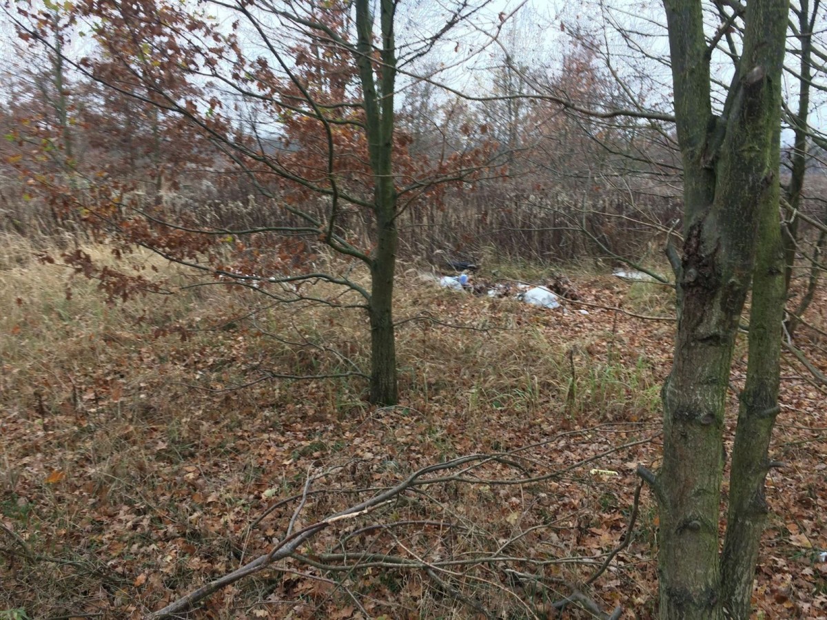 Wielkie sprzątanie Kolonii Staszica