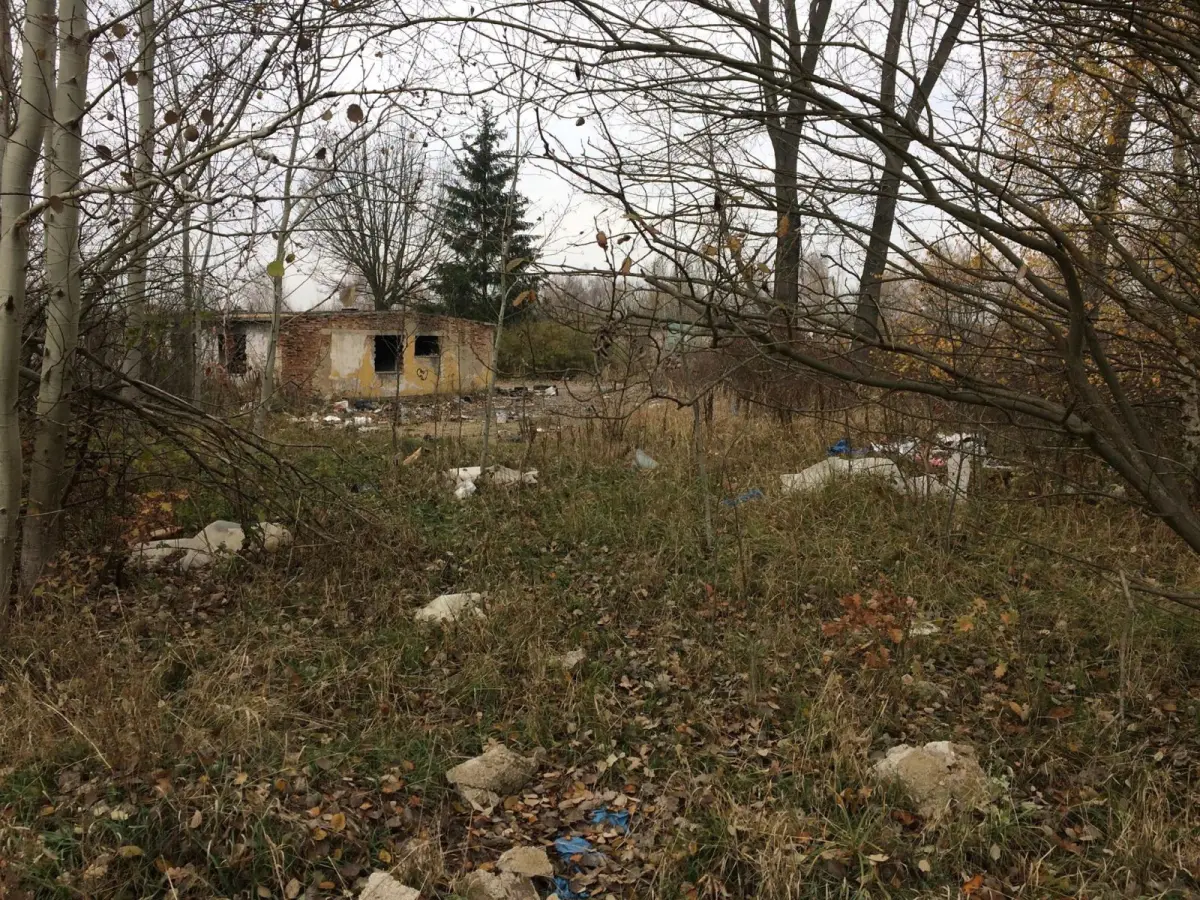 Wielkie sprzątanie Kolonii Staszica