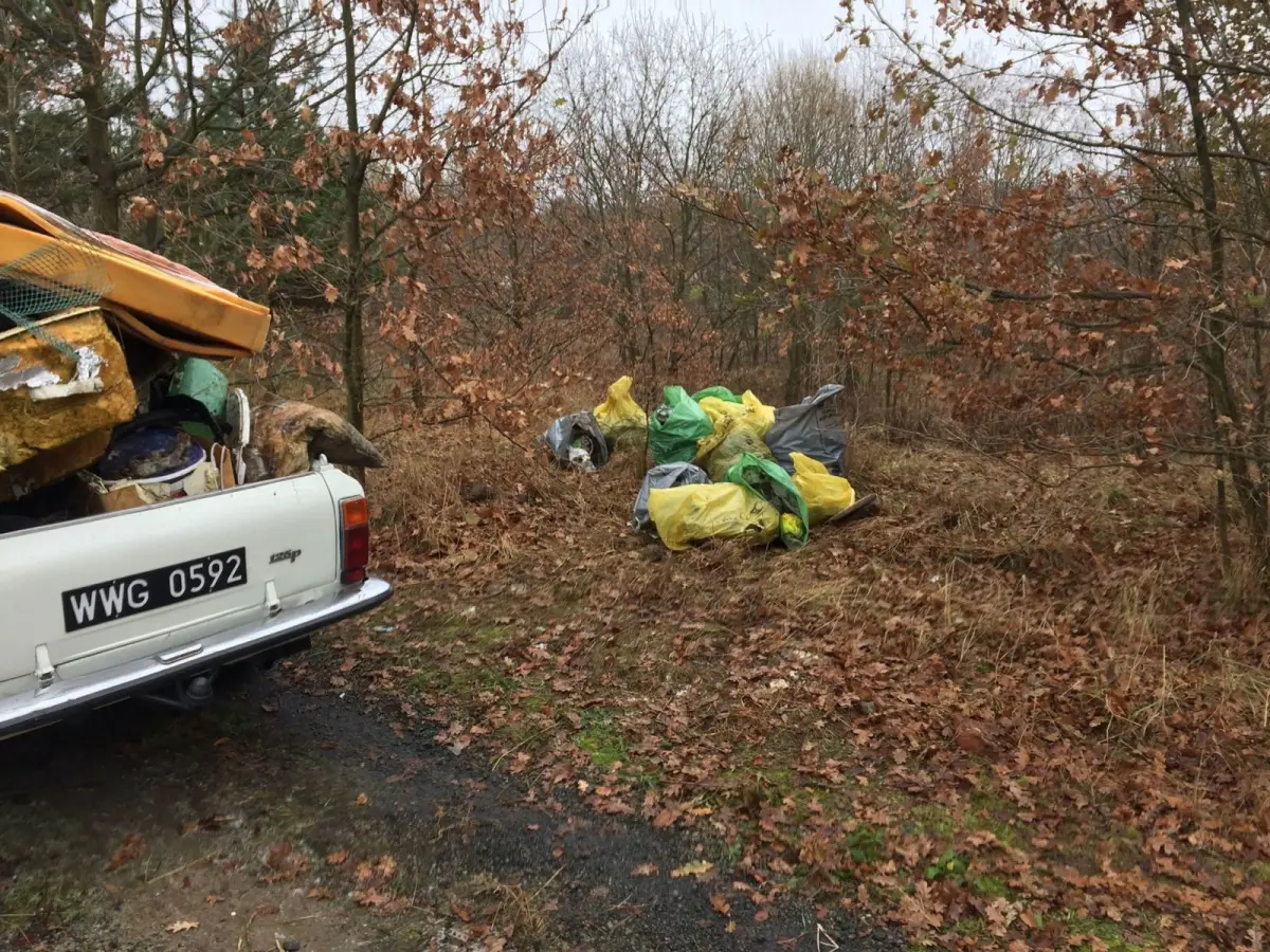 Wielkie sprzątanie Kolonii Staszica