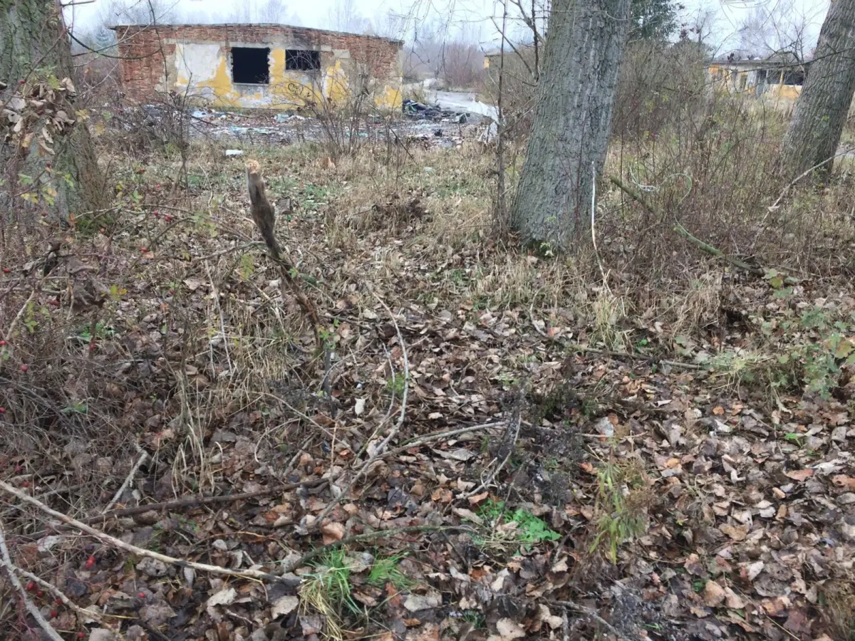 Wielkie sprzątanie Kolonii Staszica