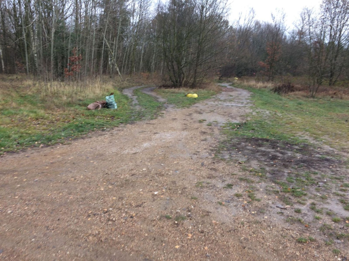 Wielkie sprzątanie Kolonii Staszica