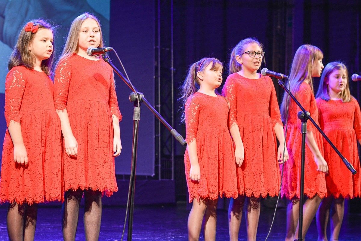 Znamy Wolontariuszy Roku Powiatu Bolesławieckiego 2018