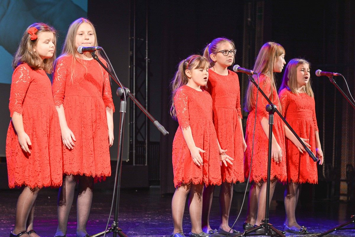 Znamy Wolontariuszy Roku Powiatu Bolesławieckiego 2018