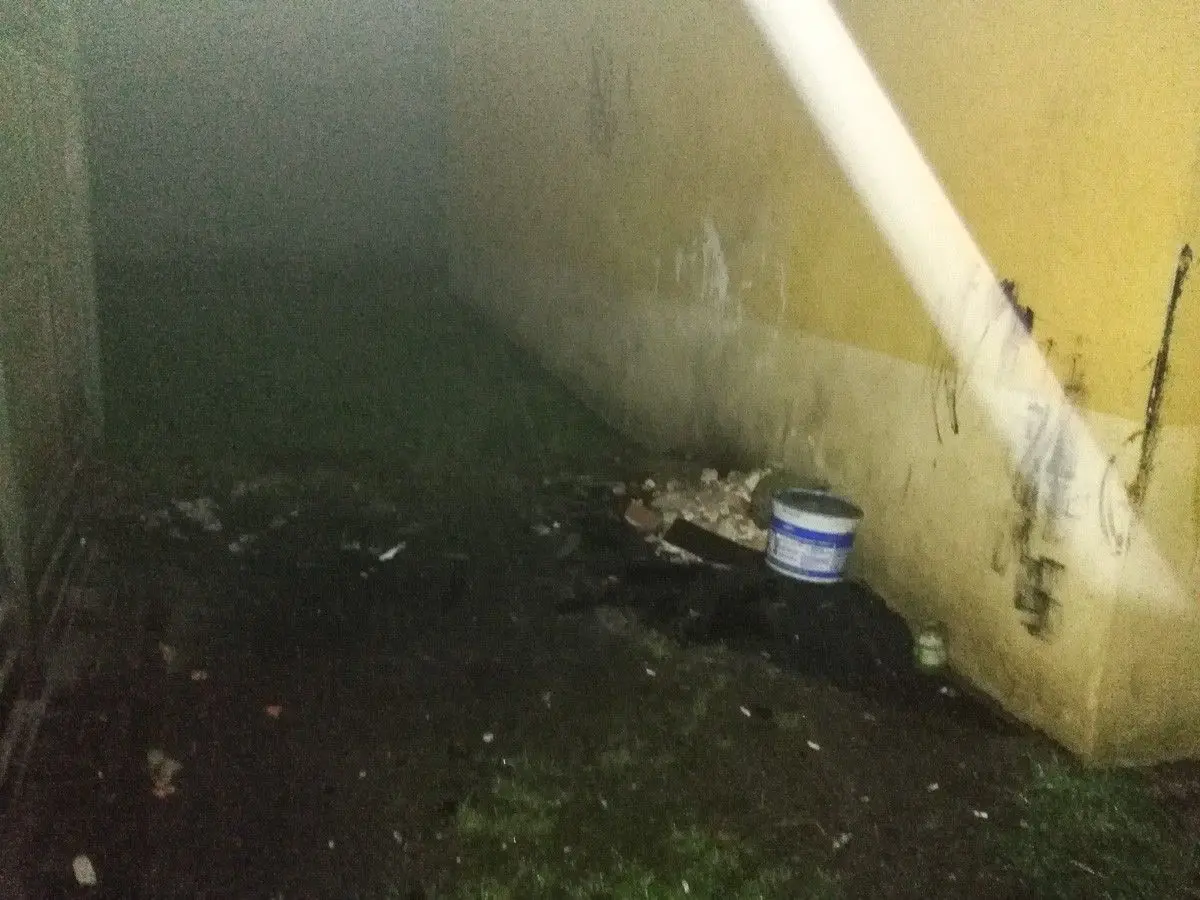Bolesławianie syfią na potęgę?