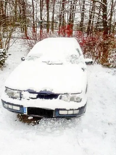 Strażnicy miejscy odnaleźli skradzionego volkswagena
