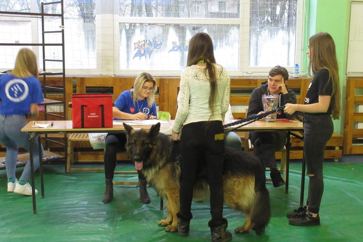 Zobaczcie jak Orkiestra gra w handlówce