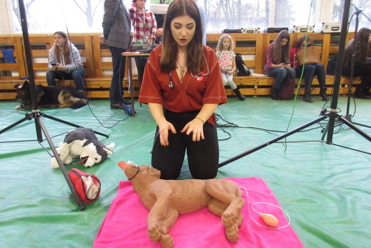 Zobaczcie jak Orkiestra gra w handlówce