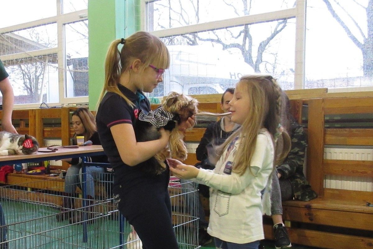 Zobaczcie jak Orkiestra gra w handlówce