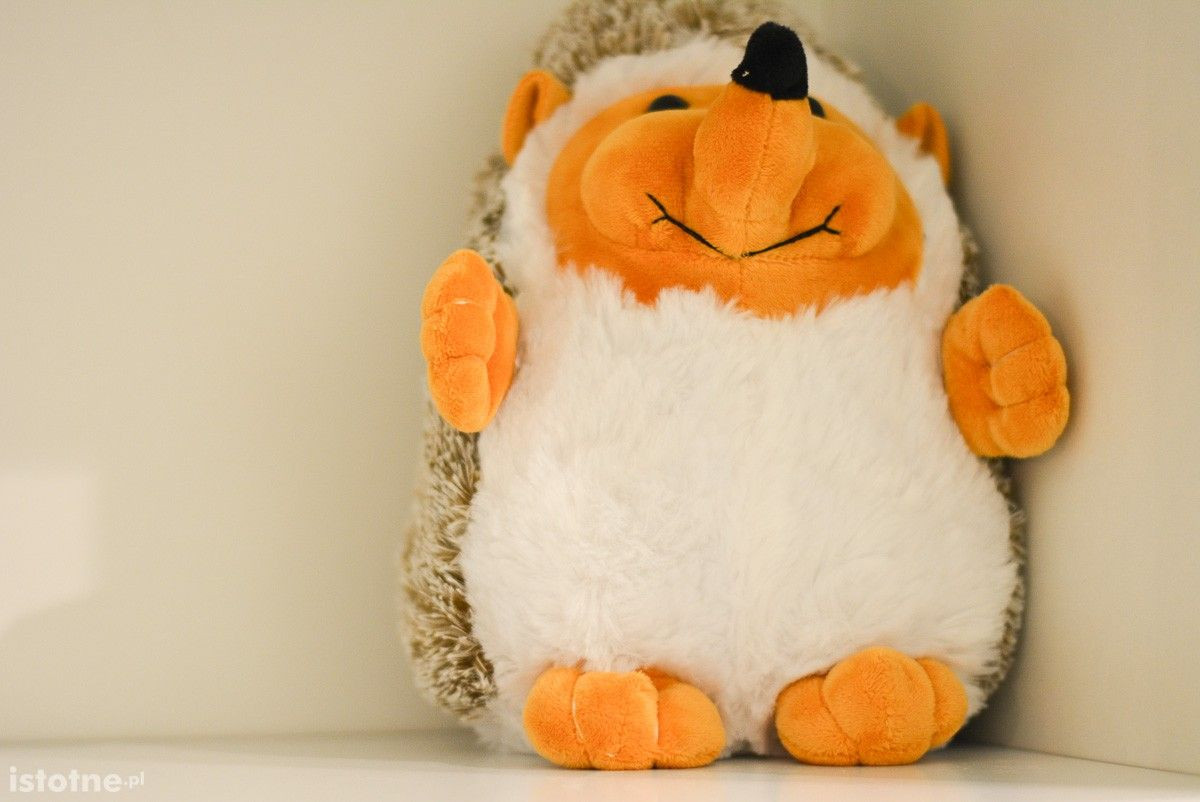 Sześcioro dzieci znajdzie miłość i opiekę w bolesławieckiej placówce