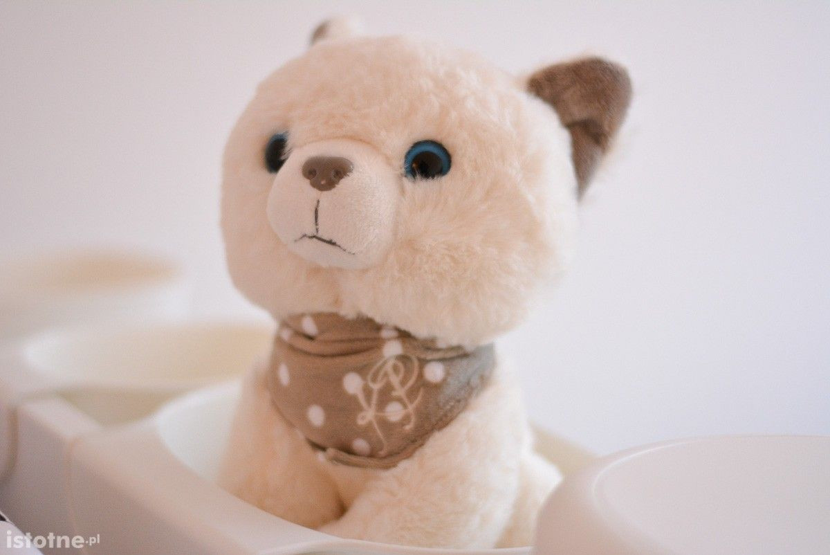 Sześcioro dzieci znajdzie miłość i opiekę w bolesławieckiej placówce