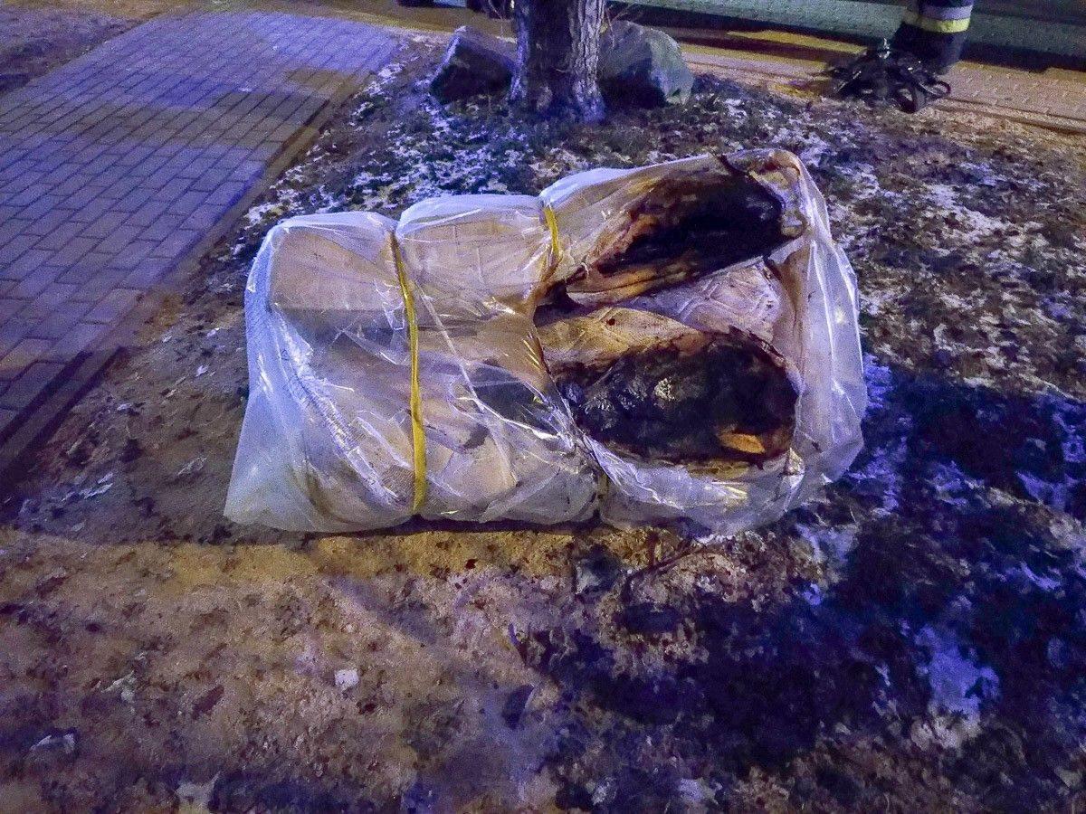 Akcja strażaków przy ul. Starzyńskiego