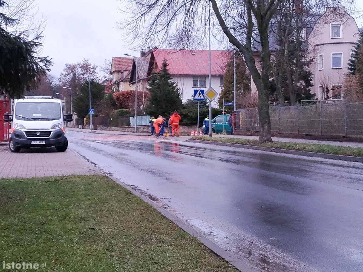 Plama na Willowej