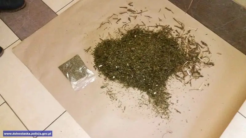 Wpadł z dużą ilością narkotyków i dwoma kradzionymi quadami