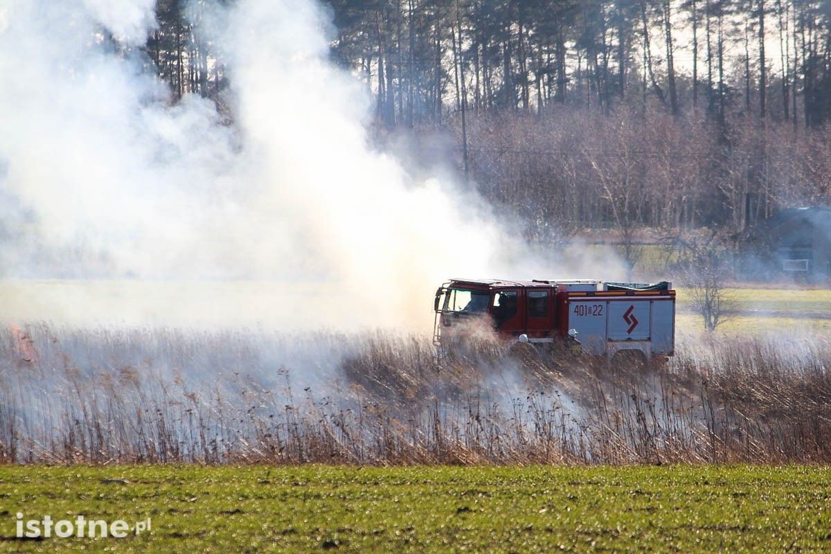 Pożar nieużytków koło Łazisk