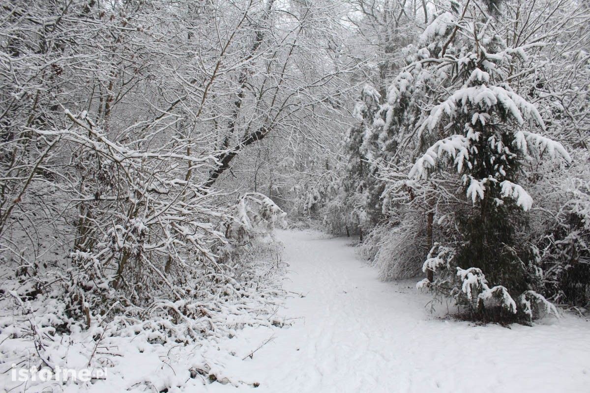 Zima w Bolesławcu