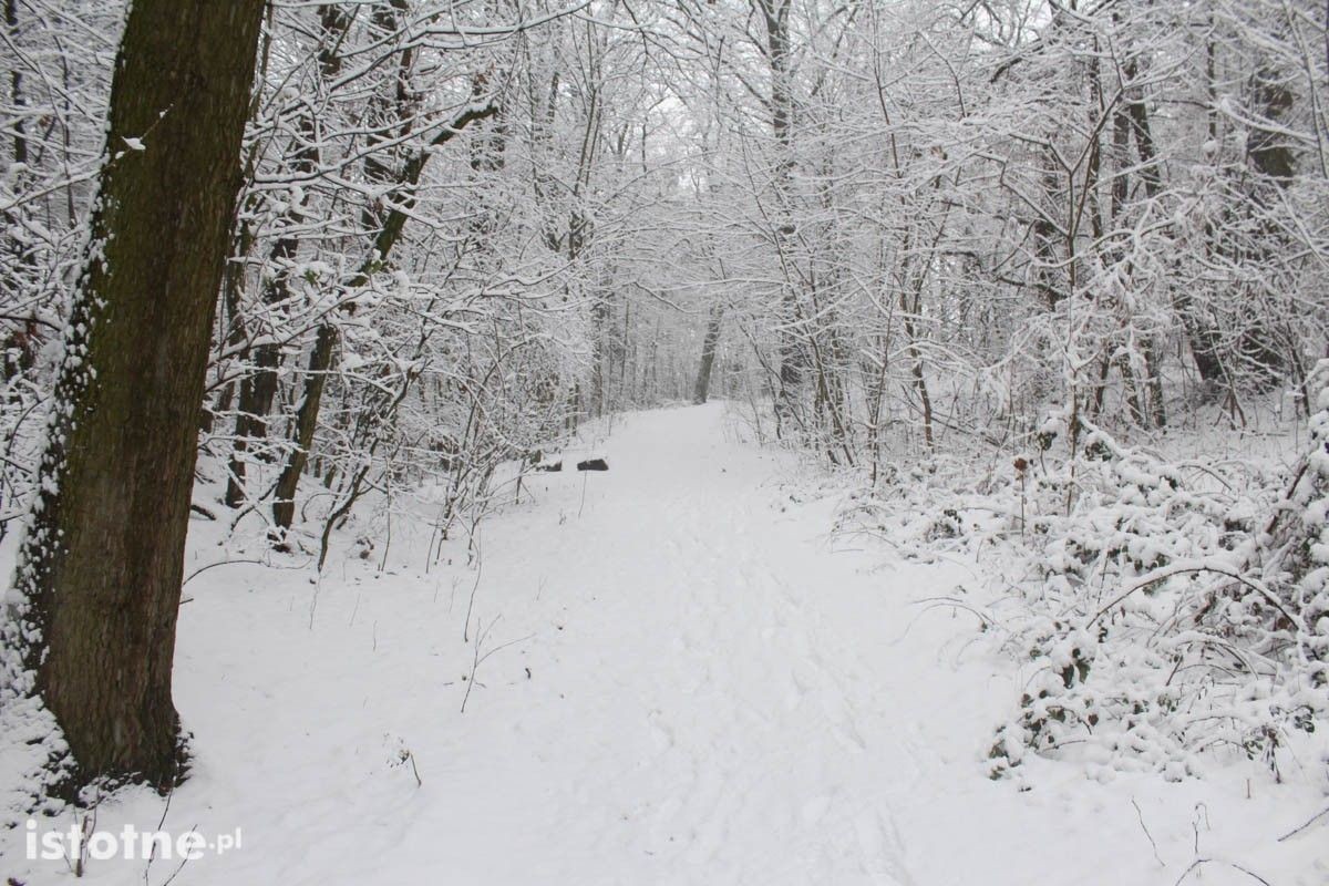 Zima w Bolesławcu