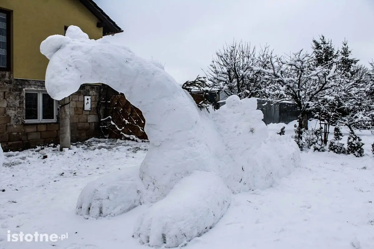 Mieszkańcy Łazisk mają swojego dinozaura