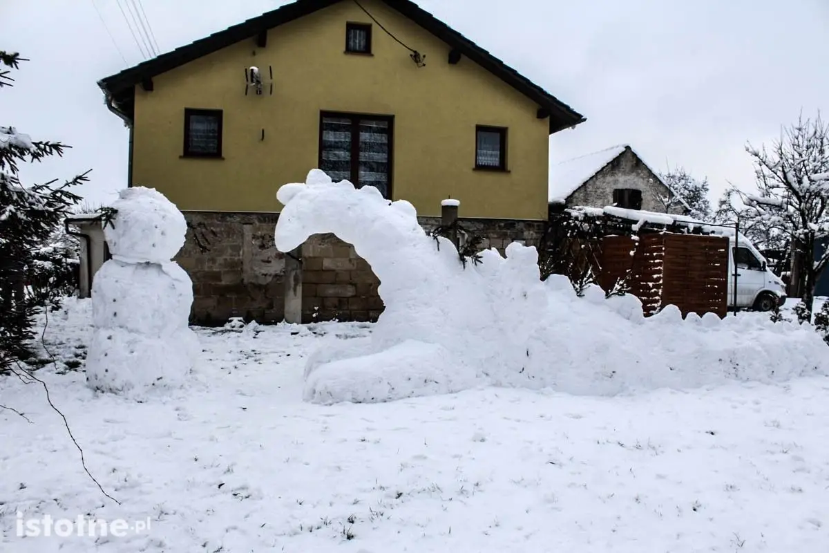 Mieszkańcy Łazisk mają swojego dinozaura