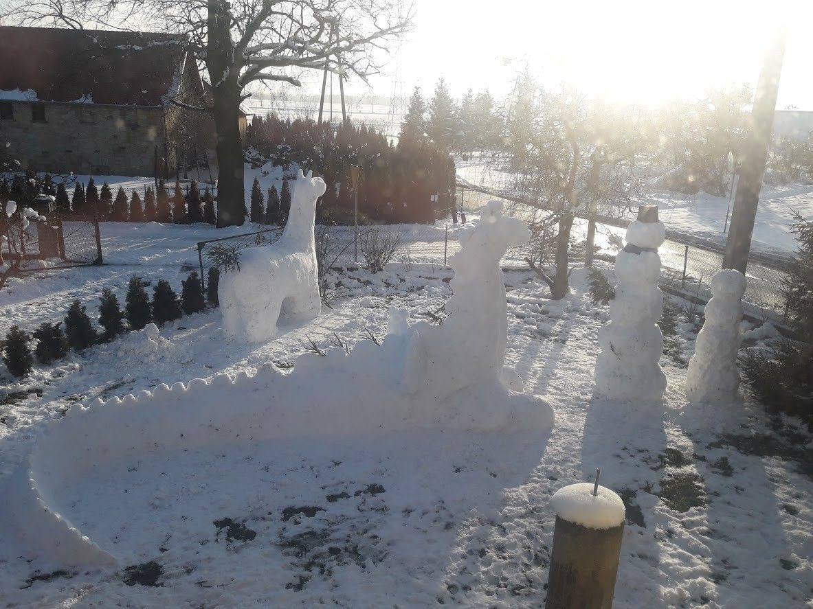 Mieszkańcy Łazisk mają swojego dinozaura